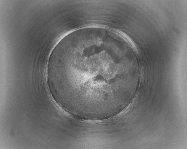 X0000116481244200912091354