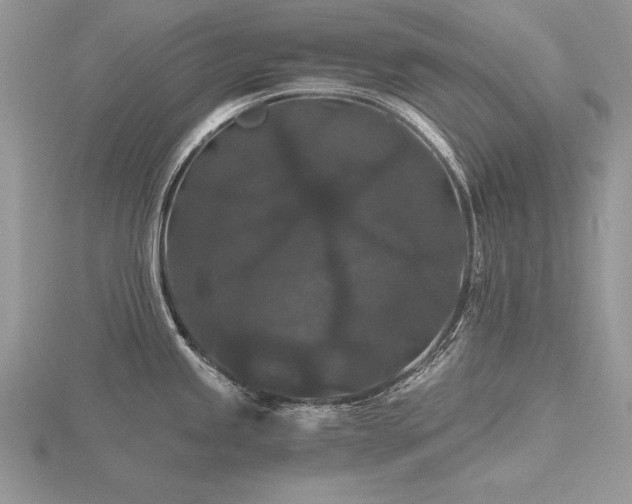 X0000116481245200912091354