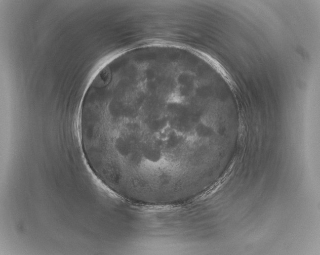 X0000116481247200912091354