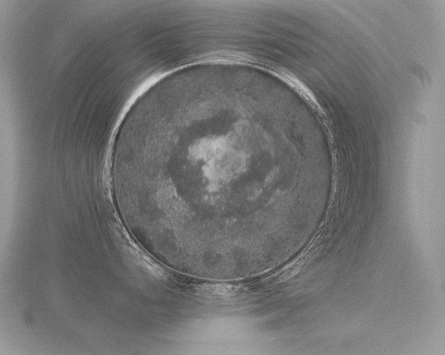 X0000116481248200912091354