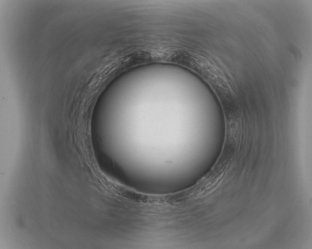 X0000116481249200912091353