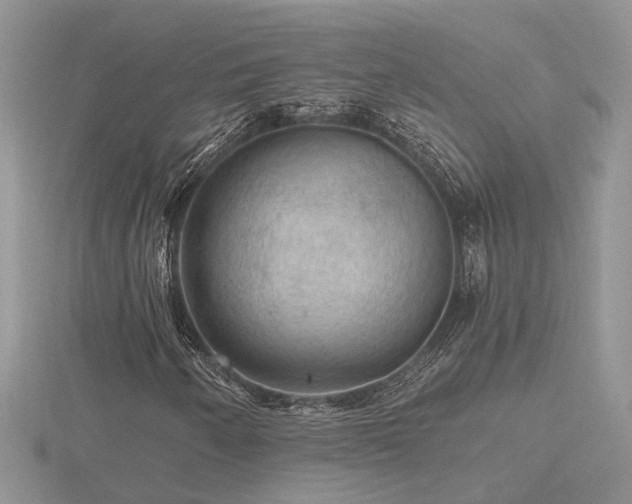 X0000116481250200912091353