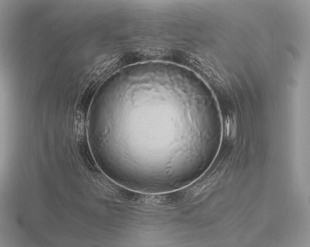 X0000116481251200912091353