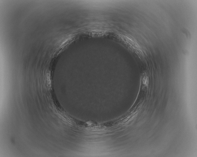 X0000116481252200912091353