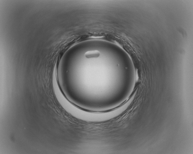 X0000116481253200912091353