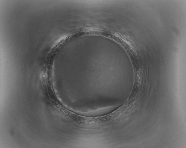 X0000116481254200912091353