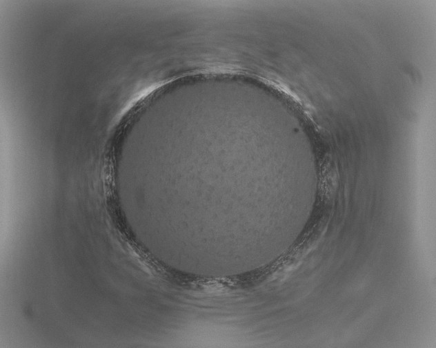 X0000116481255200912091353