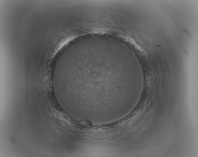 X0000116481256200912091353