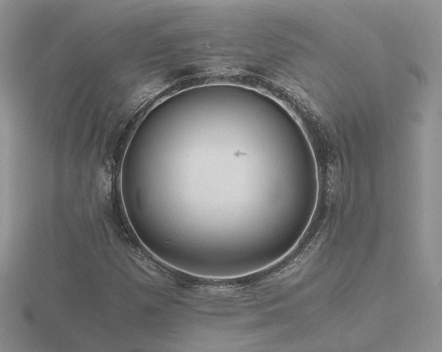 X0000116481257200912091353