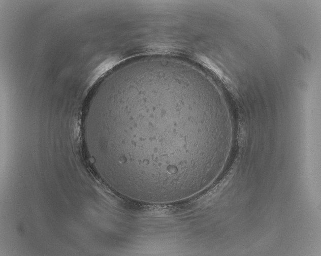 X0000116481259200912091353