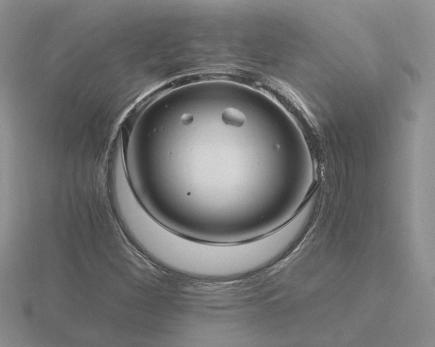 X0000116481260200912091353