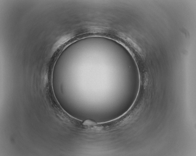 X0000116481261200912091353