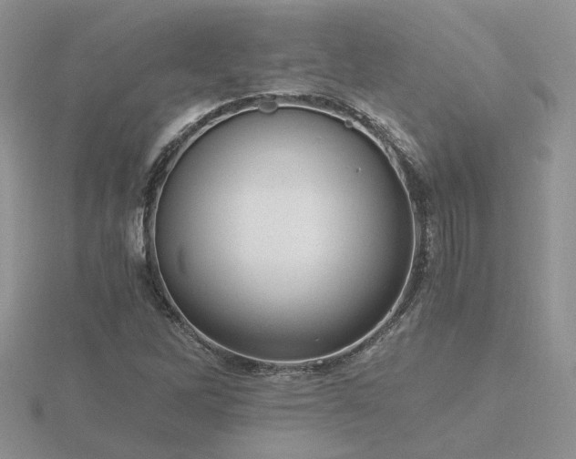 X0000116481262200912091353