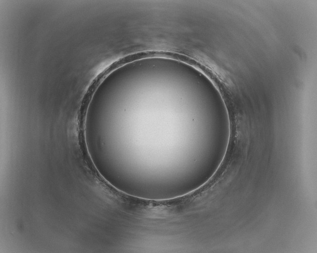 X0000116481264200912091353