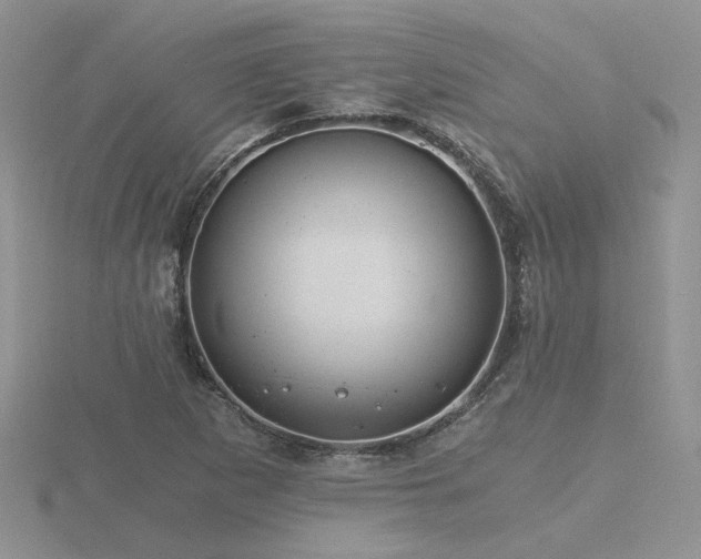 X0000116481265200912091353