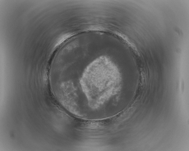 X0000116481266200912091353