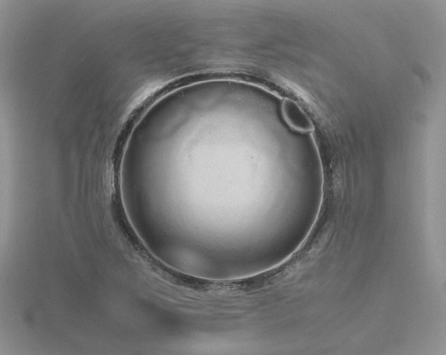 X0000116481267200912091353