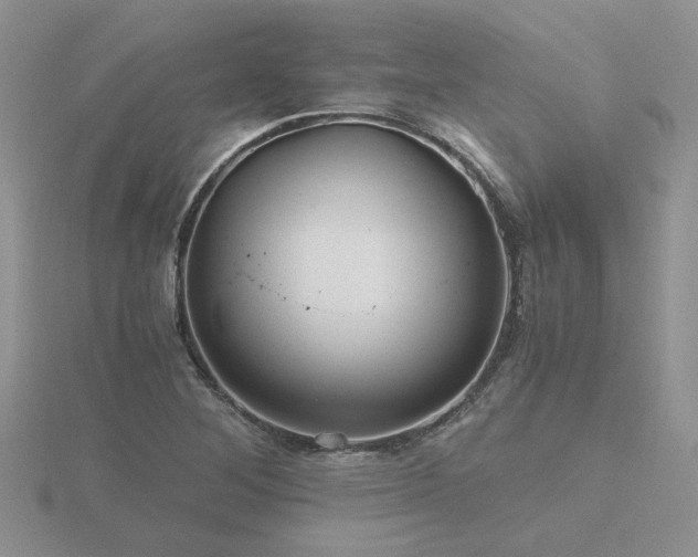 X0000116481268200912091353