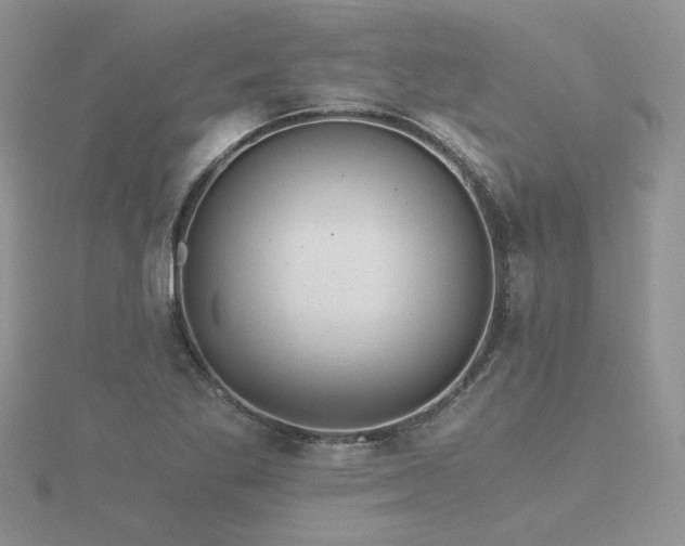 X0000116481269200912091353