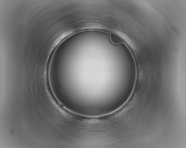 X0000116481282200912091352