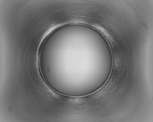 X0000116481286200912091352