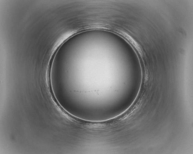 X0000116481293200912091352