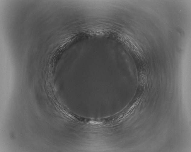 X0000116481297200912091352