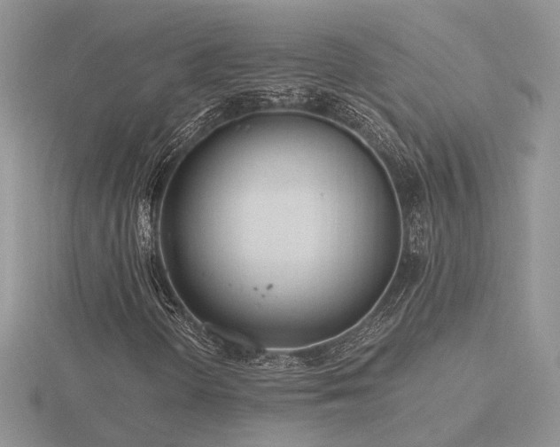 X0000116481298200912091352