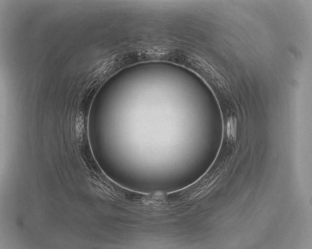 X0000116481299200912091352