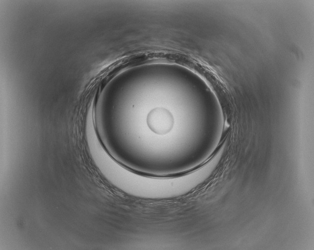 X0000116481303200912091352