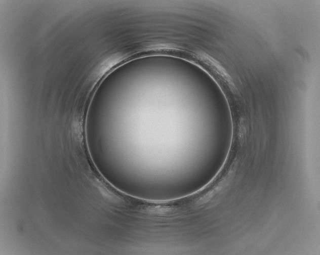 X0000116481321200912091352