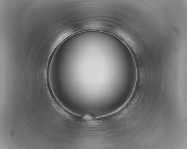 X0000116481330200912091352
