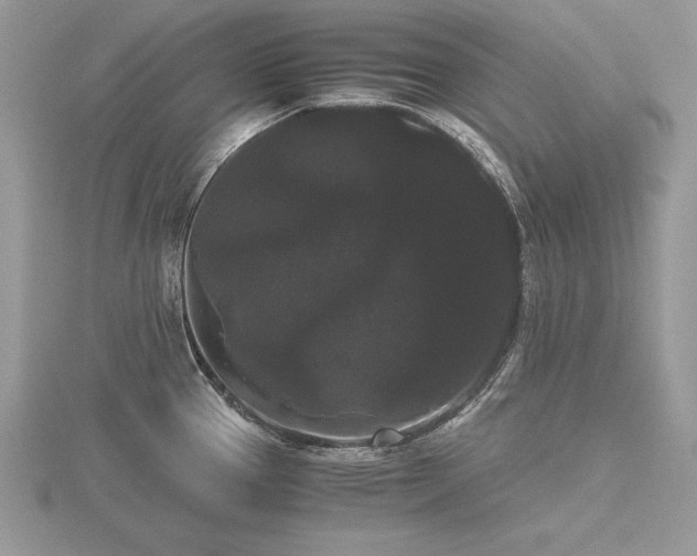 X0000116481337200912091352