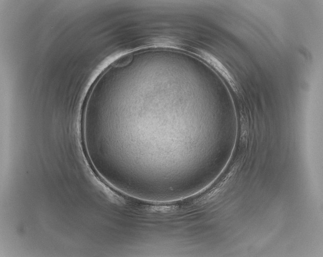 X0000116481339200912091352