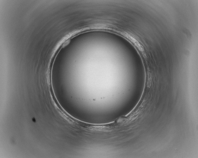 X0000116481342200912091352