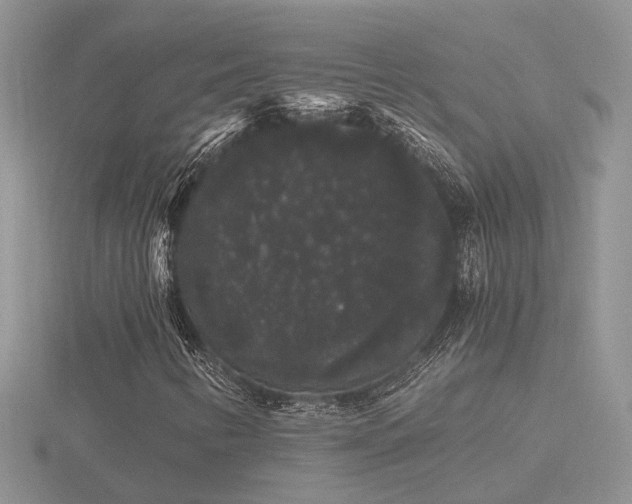 X0000116481346200912091352