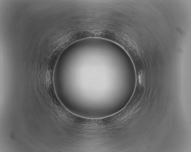 X0000116481347200912091352