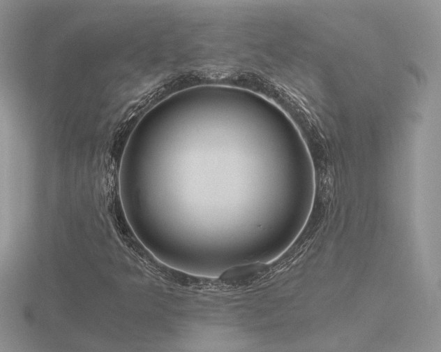 X0000116481349200912091351
