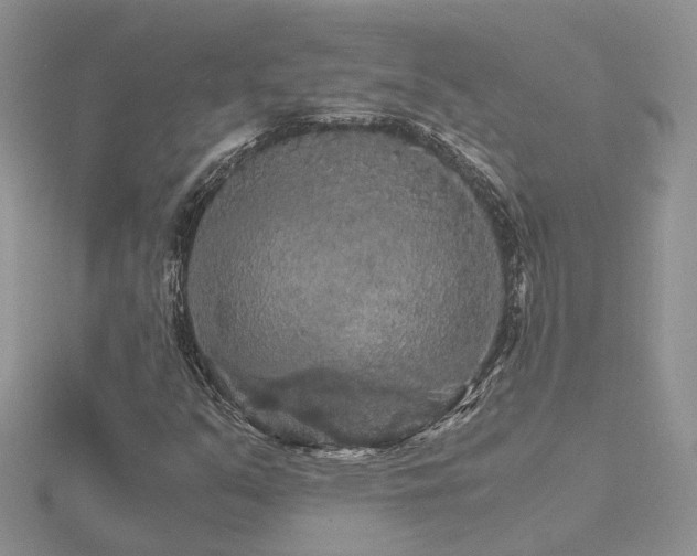 X0000116481351200912091351
