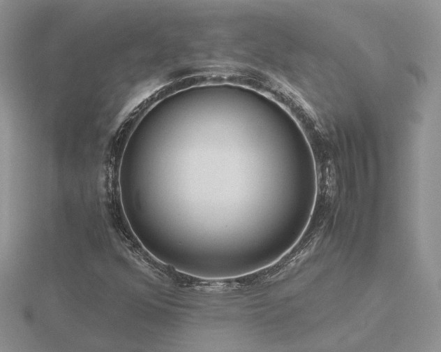 X0000116481352200912091351