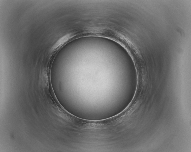 X0000116481354200912091351