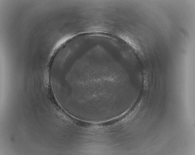X0000116481358200912091351