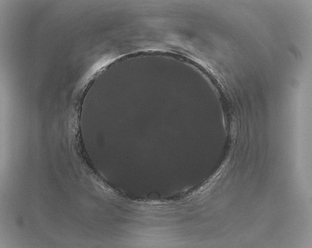 X0000116481359200912091351