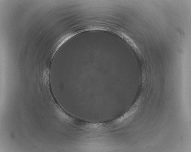 X0000116481369200912091351