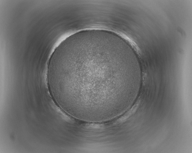 X0000116481374200912091351