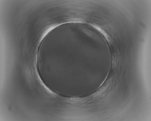 X0000116481383200912091351