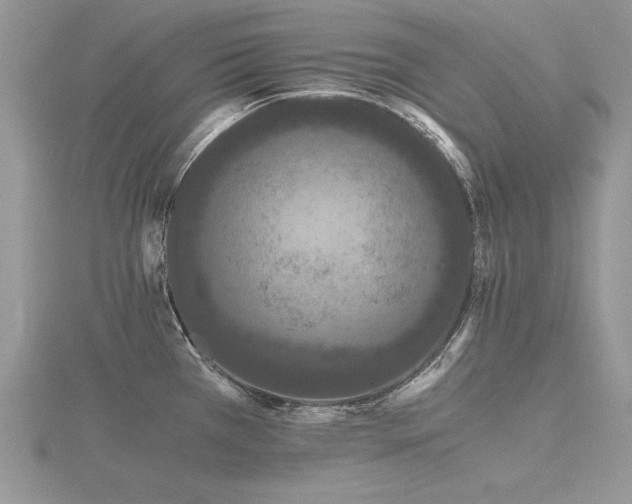 X0000116481385200912091351