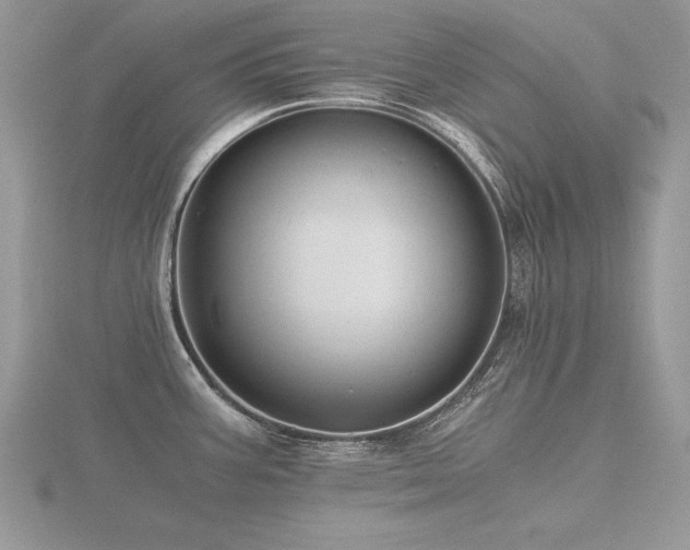 X0000116481387200912091351