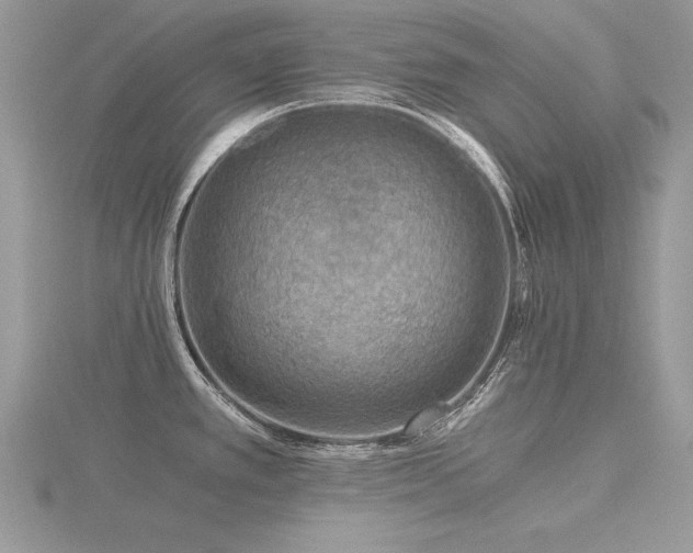 X0000116481389200912091351