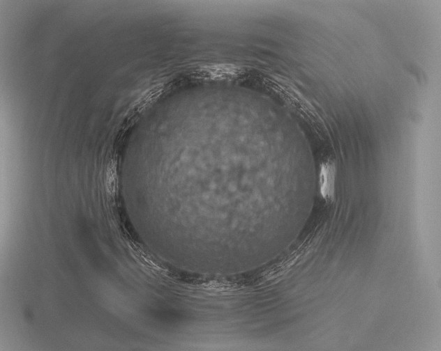X0000116481395200912091350